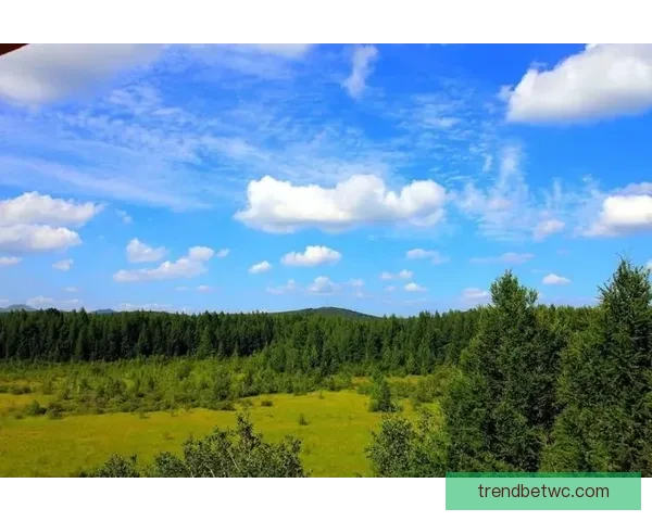 世界杯体育竞猜平台带你畅玩竞猜乐趣，预测冠军赢大奖！